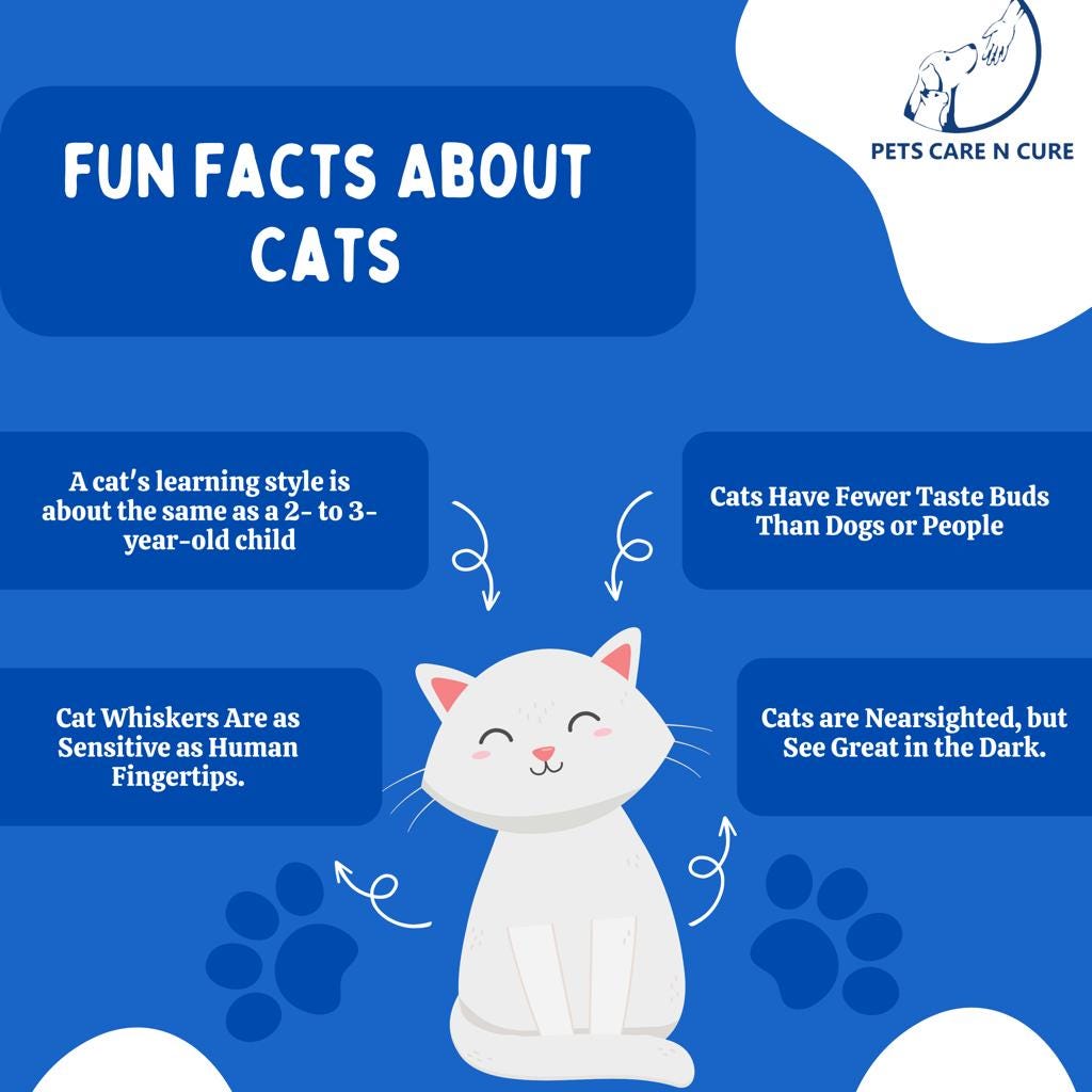 10 interesting facts about cats