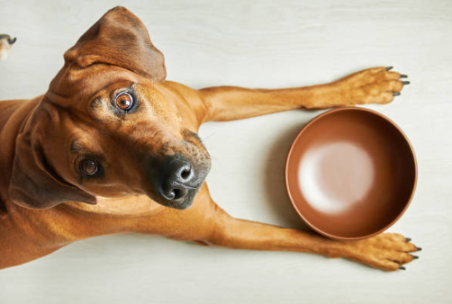Individual food plan