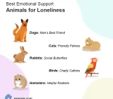 How animals help fight loneliness