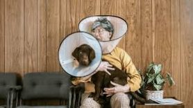 Neutering your dog: yes or no?