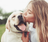 Why Is It Good to Have Dogs at Home?
