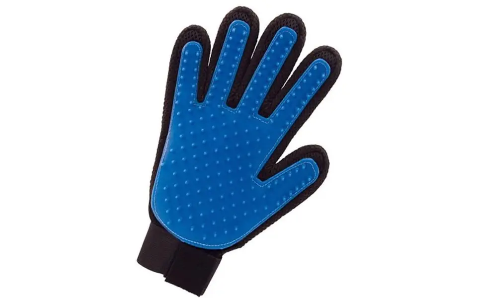 Blue cat True Touch betting glove.