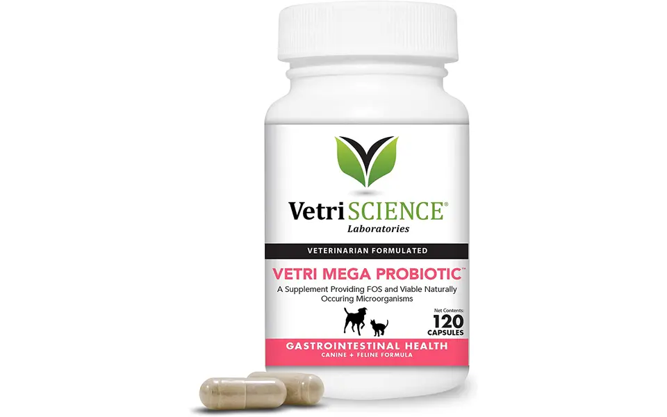 Bottle of VetriScience Vetri-Mega Probiotic Digestive Health probiotic supplements for cats.