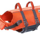 The best life jackets for dogs