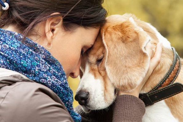 How to deal with guilt after putting a pet down